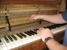 Piano regulation by experienced piano tuner